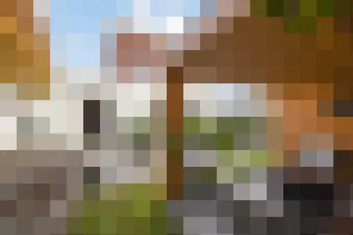 Mandenmakerstraat 28 Echt thumbnail 4