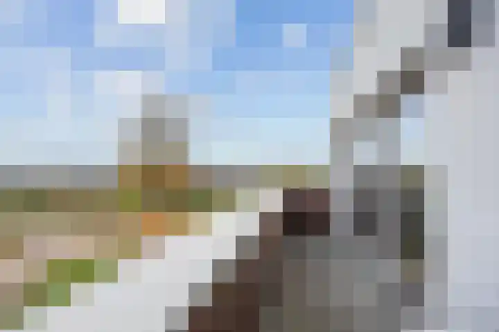 Mandenmakerstraat 28 Echt thumbnail 48