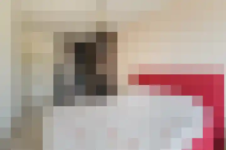 Mandenmakerstraat 28 Echt thumbnail 60