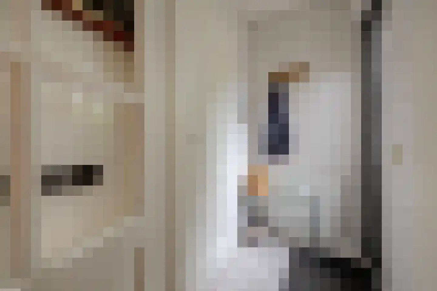Mandenmakerstraat 44 Harderwijk thumbnail 12