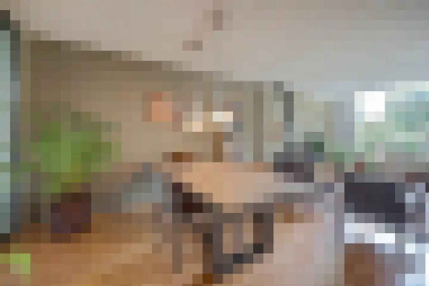 Mandenmakerstraat 44 Harderwijk thumbnail 16