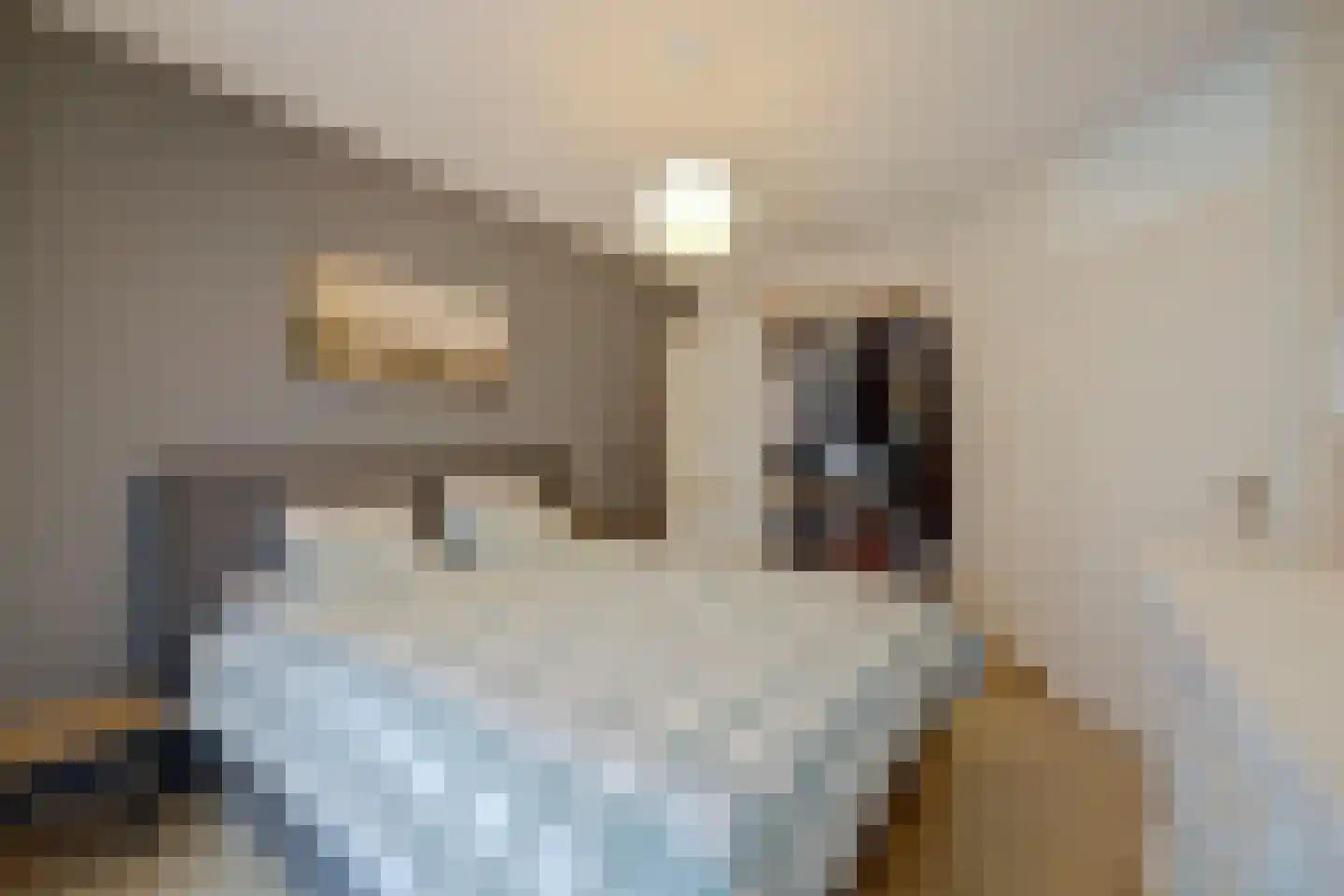 Mandenmakerstraat 44 Harderwijk thumbnail 22