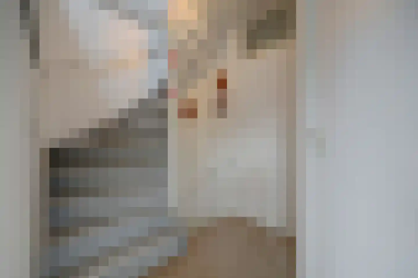 Mandenmakerstraat 44 Harderwijk thumbnail 25