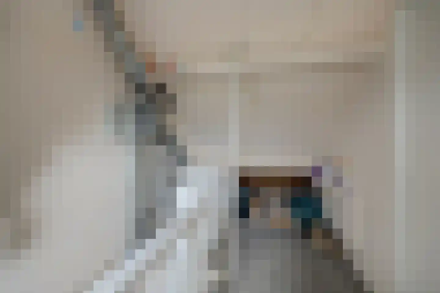 Mandenmakerstraat 44 Harderwijk thumbnail 26