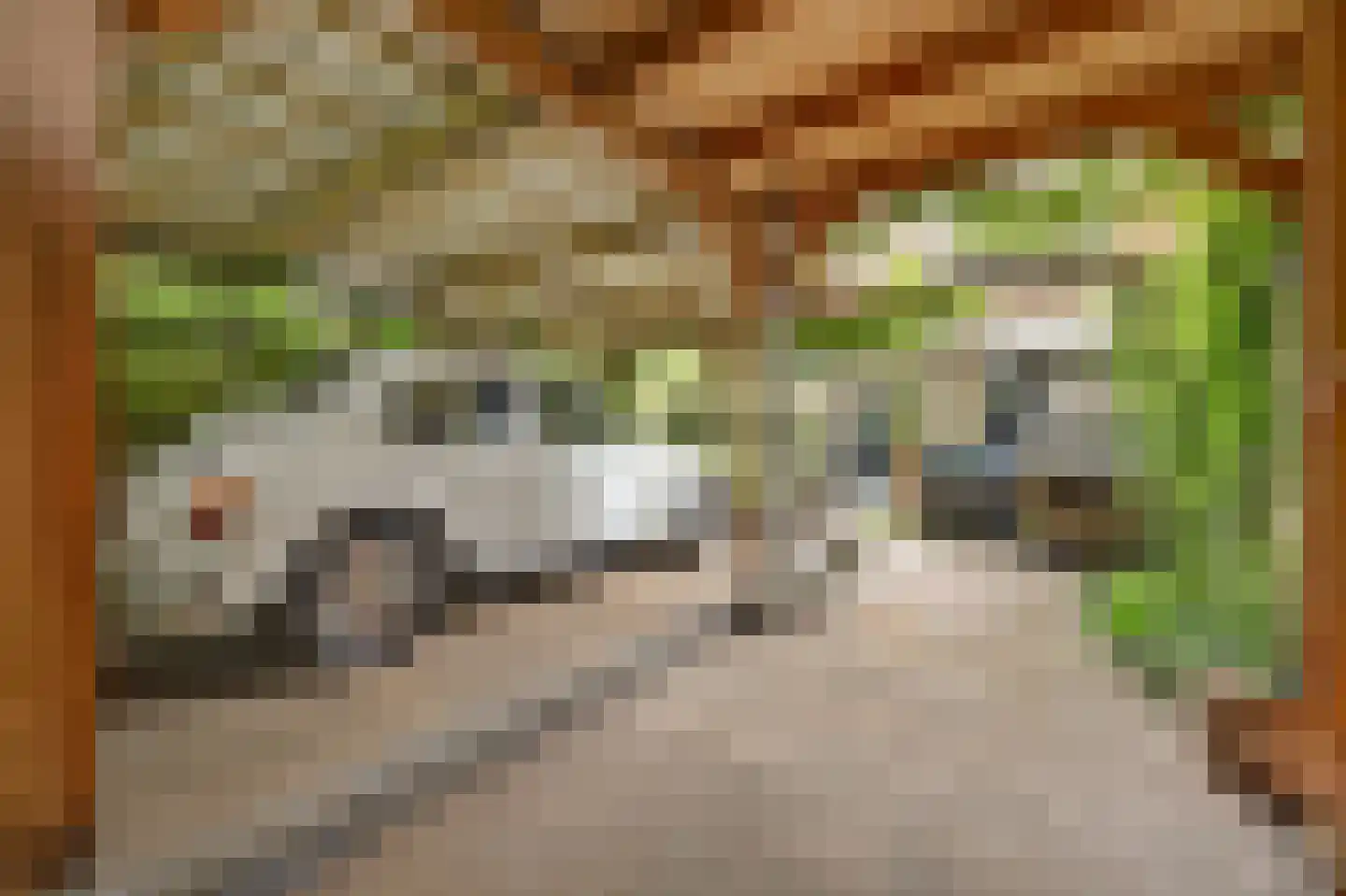 Mandenmakerstraat 44 Harderwijk thumbnail 34