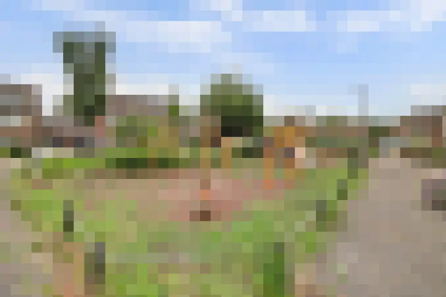 Mandenmakerstraat 44 Harderwijk thumbnail 37