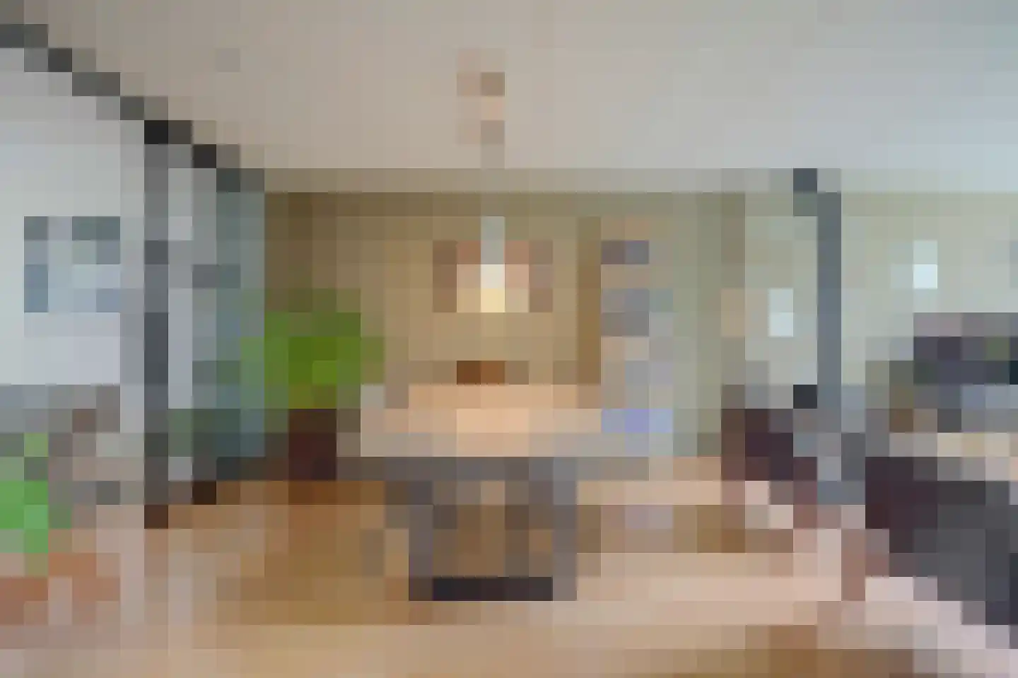 Mandenmakerstraat 44 Harderwijk thumbnail 4