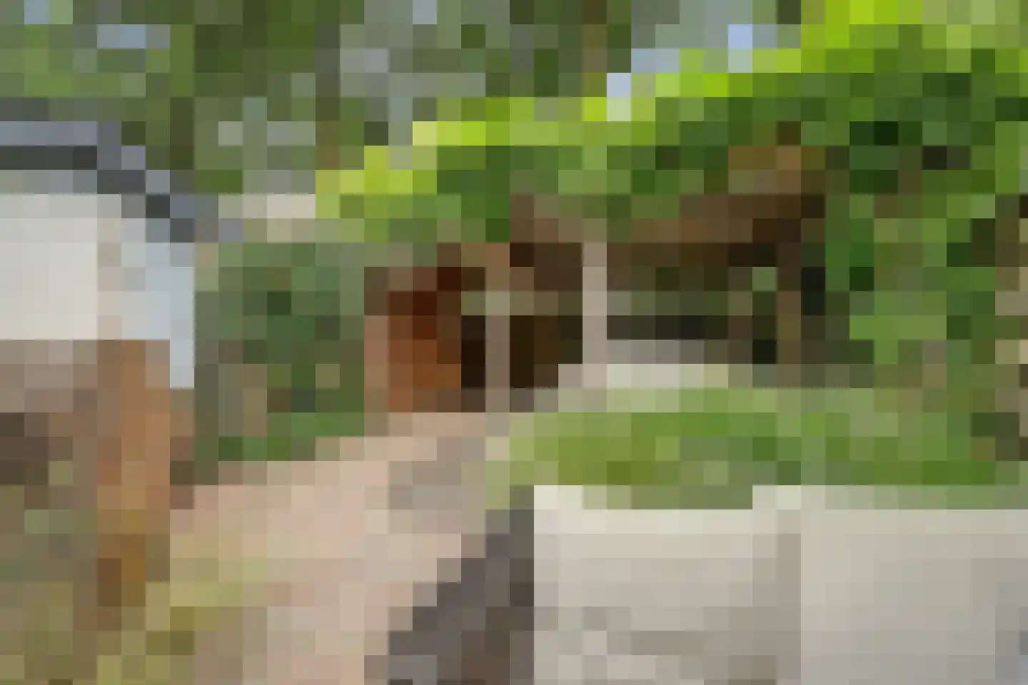 Mandenmakerstraat 44 Harderwijk thumbnail 6