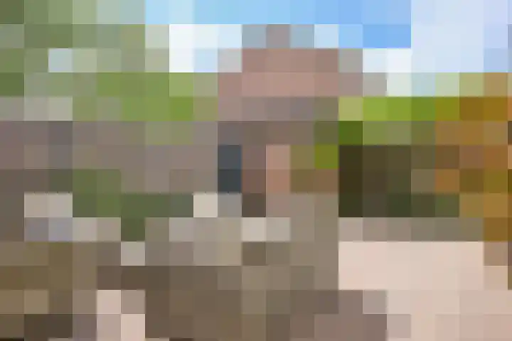 Mandenmakerstraat 44 Purmerend thumbnail 39