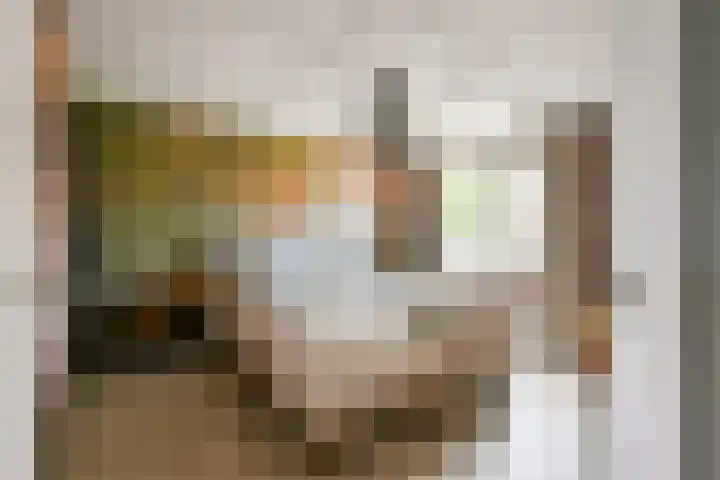 Mandenmakerstraat 44 Purmerend thumbnail 4