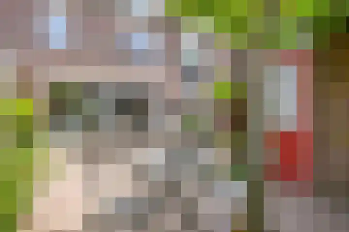 Mandenmakerstraat 44 Purmerend thumbnail 43