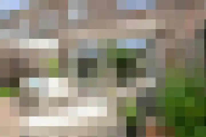 Mandenmakerstraat 44 Purmerend thumbnail 44