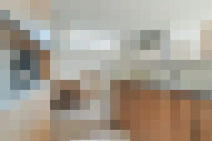Mandenmakerstraat 64 Harderwijk thumbnail 10