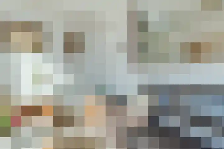 Mandenmakerstraat 64 Harderwijk thumbnail 6