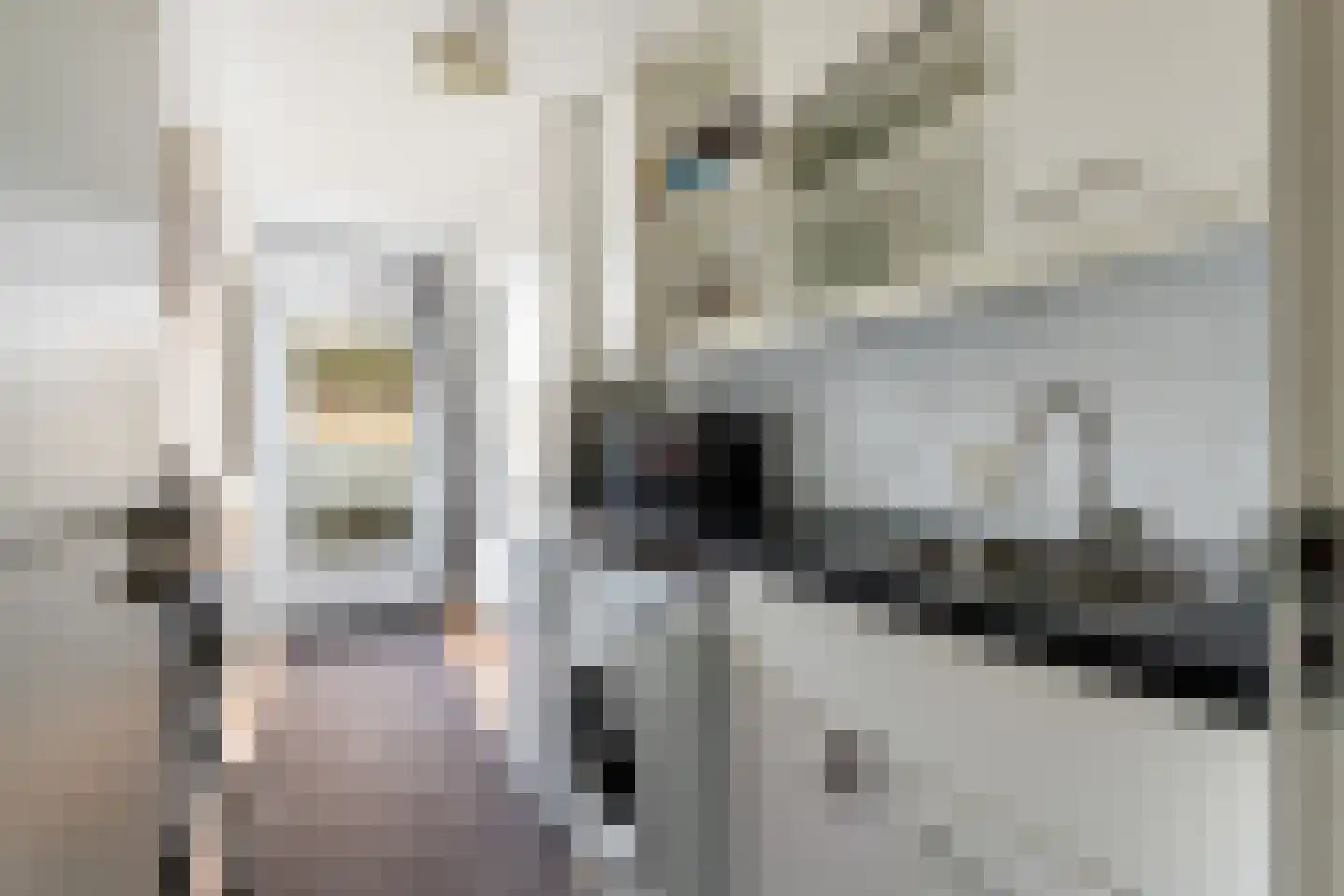 Mandenmakerstraat 72 Harderwijk thumbnail 16