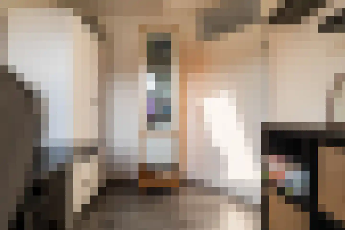 Mandenmakerstraat 72 Harderwijk thumbnail 30
