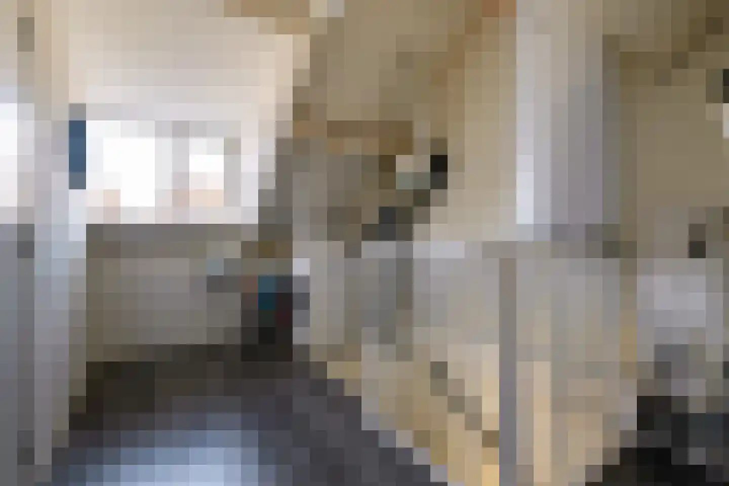 Mandenmakerstraat 72 Harderwijk thumbnail 36