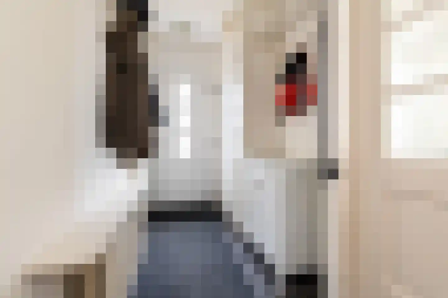 Mandenmakerstraat 72 Harderwijk thumbnail 4