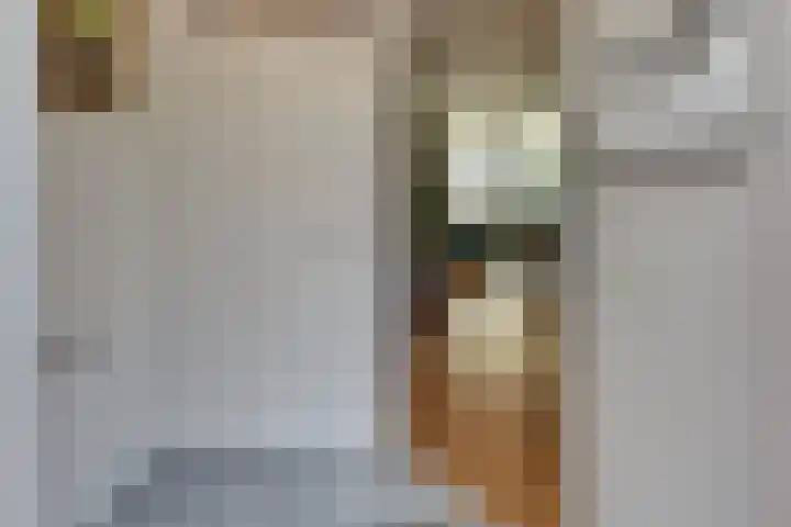 Mandenmakerstraat 76 Harderwijk thumbnail 18
