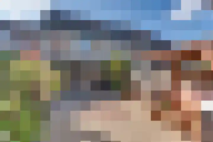 Mandenmakerstraat 76 Harderwijk thumbnail 4