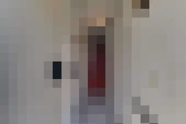 Mandenmakerstraat 76 Harderwijk thumbnail 5