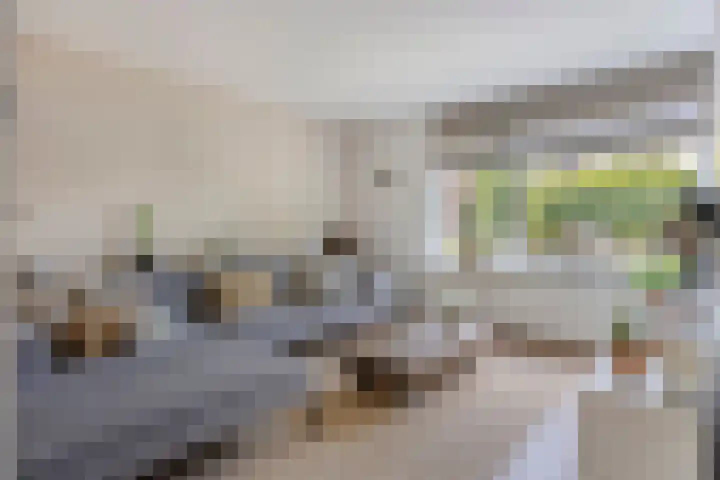Mandenmeesterstraat 25 Pijnacker thumbnail 13