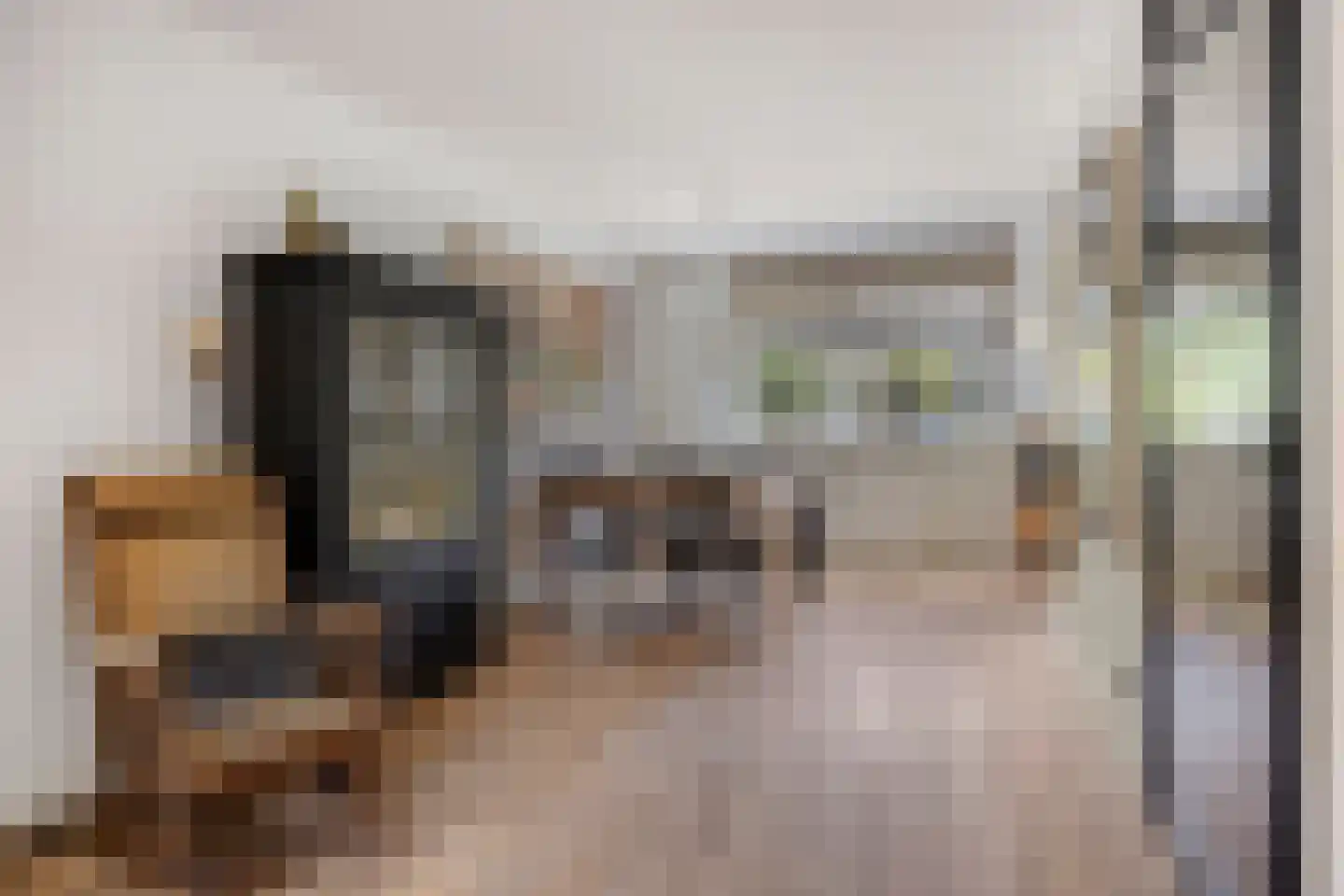 Mandenmeesterstraat 25 Pijnacker thumbnail 16