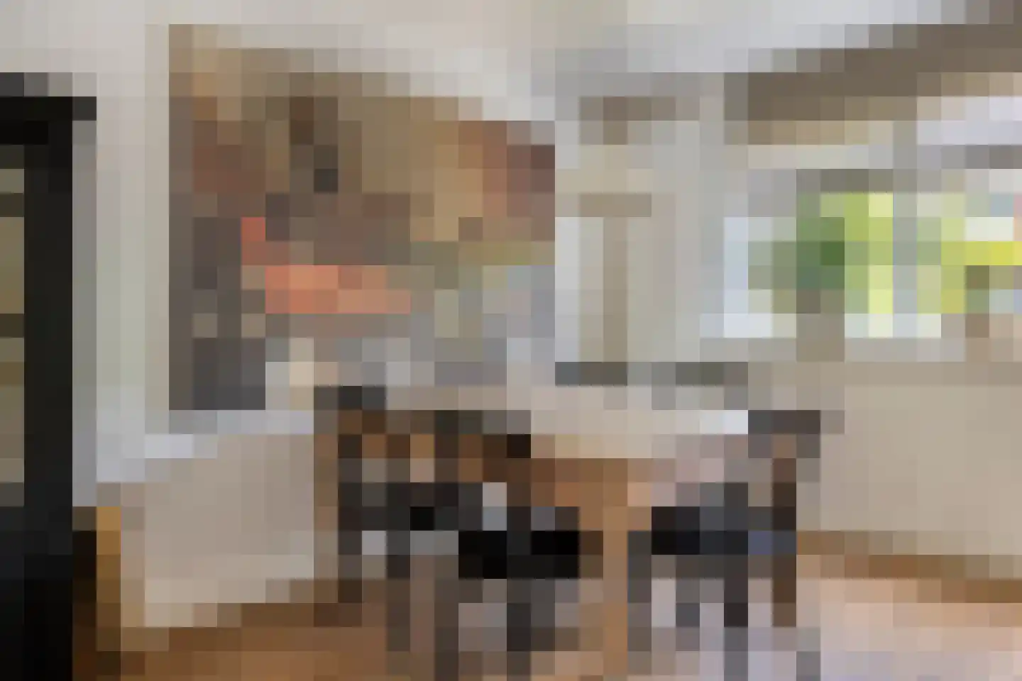 Mandenmeesterstraat 25 Pijnacker thumbnail 17