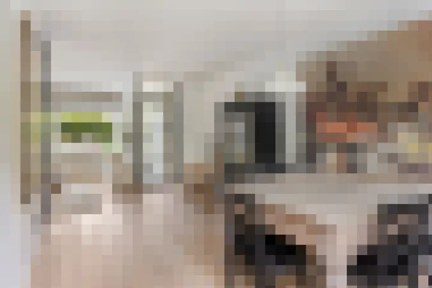 Mandenmeesterstraat 25 Pijnacker thumbnail 19