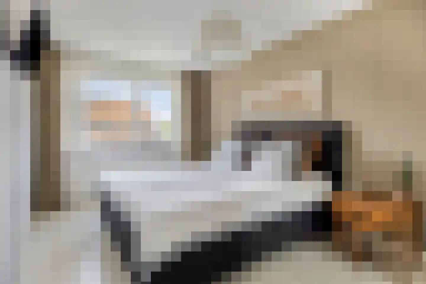 Mandenmeesterstraat 25 Pijnacker thumbnail 27