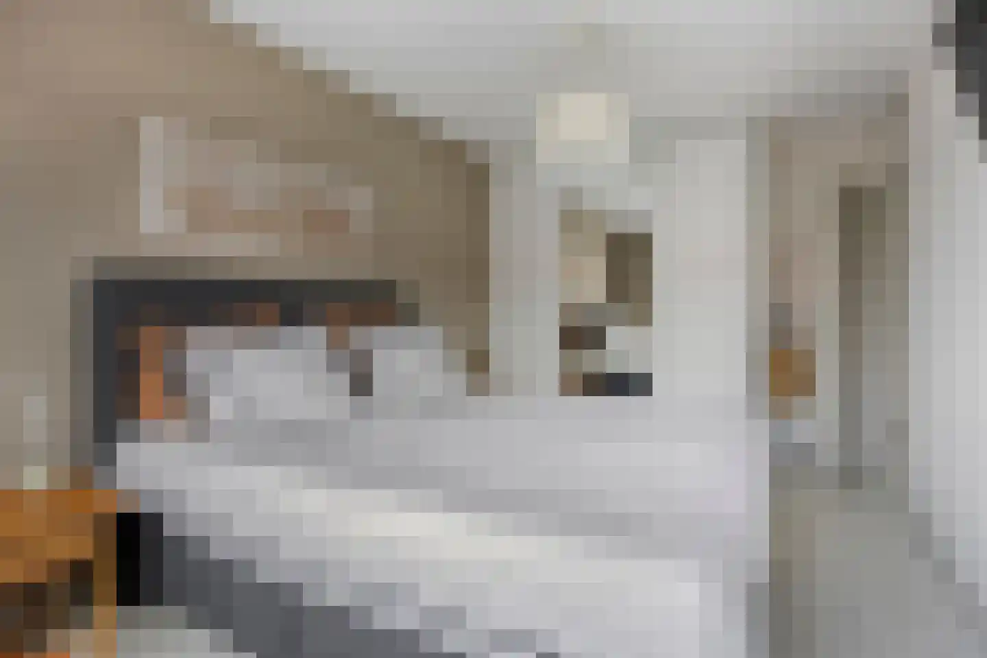 Mandenmeesterstraat 25 Pijnacker thumbnail 28