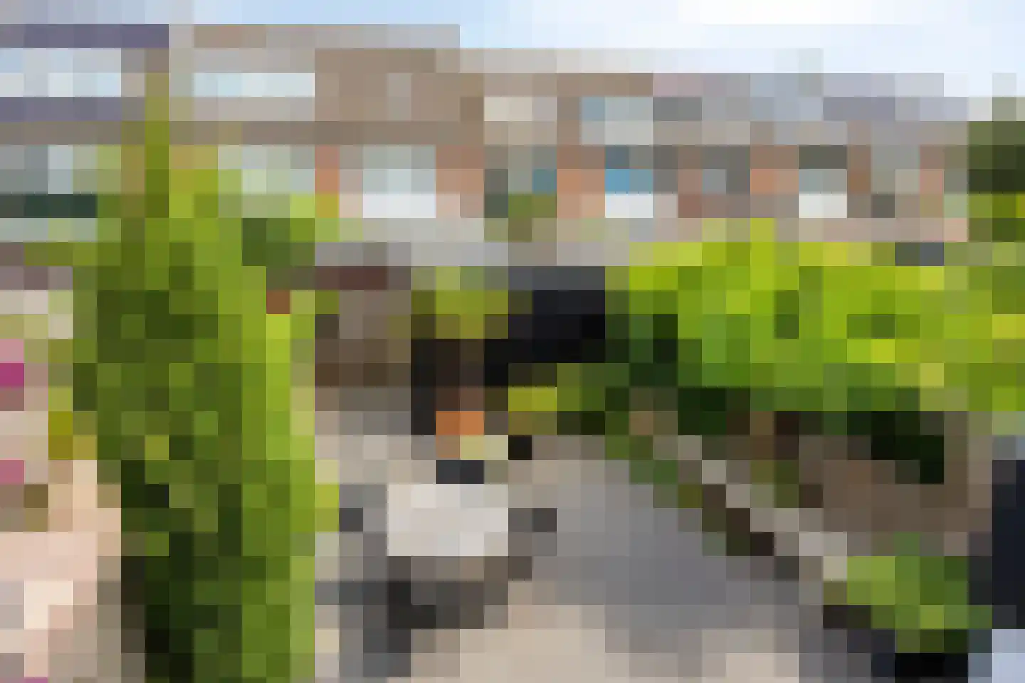 Mandenmeesterstraat 25 Pijnacker thumbnail 40
