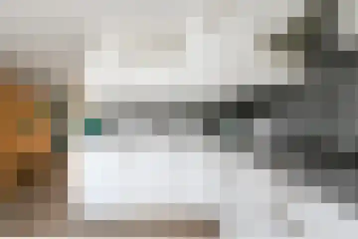 Mandenmeesterstraat 29 Pijnacker thumbnail 12