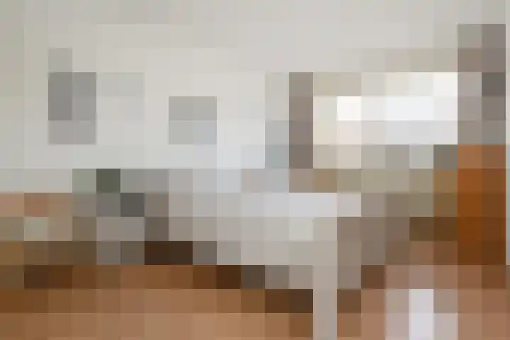 Mandenmeesterstraat 29 Pijnacker thumbnail 15