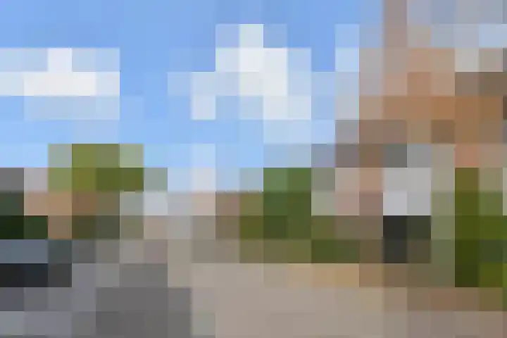Mandenmeesterstraat 29 Pijnacker thumbnail 5