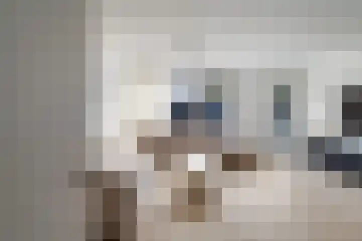 Mandenvlechter 19 Alphen aan den Rijn thumbnail 11