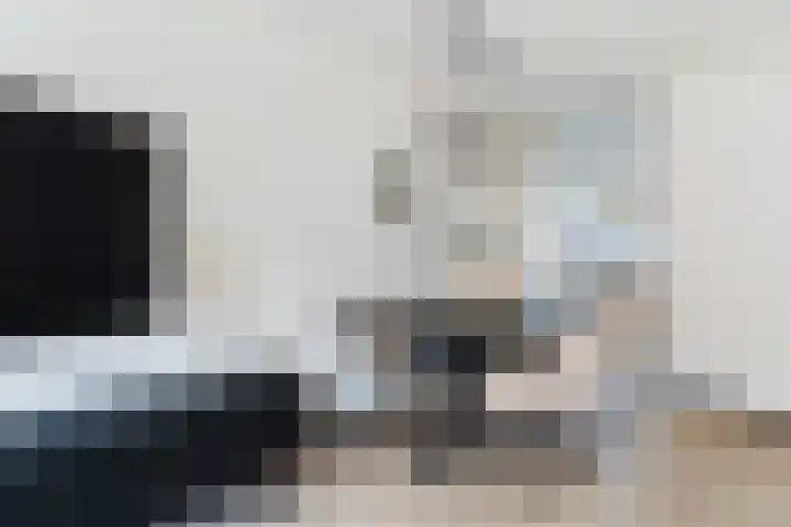 Mandenvlechter 19 Alphen aan den Rijn thumbnail 17