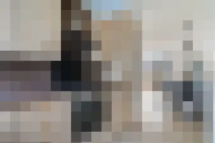Mandenvlechter 19 Alphen aan den Rijn thumbnail 21