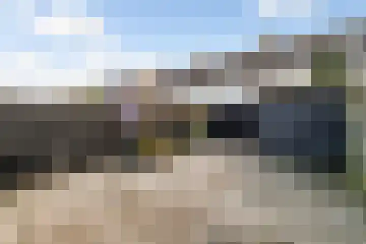 Mandenvlechter 19 Alphen aan den Rijn thumbnail 25