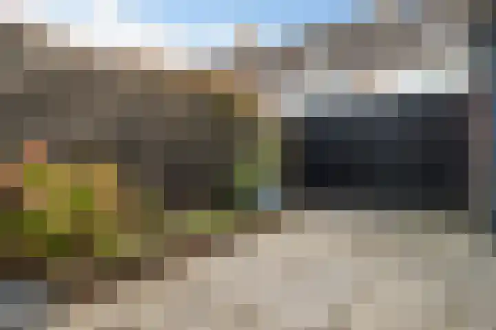 Mandenvlechter 19 Alphen aan den Rijn thumbnail 27