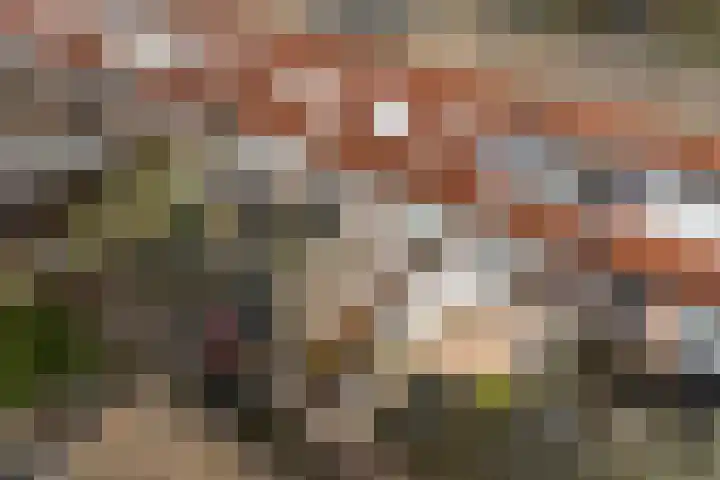 Mandenvlechter 19 Alphen aan den Rijn thumbnail 30