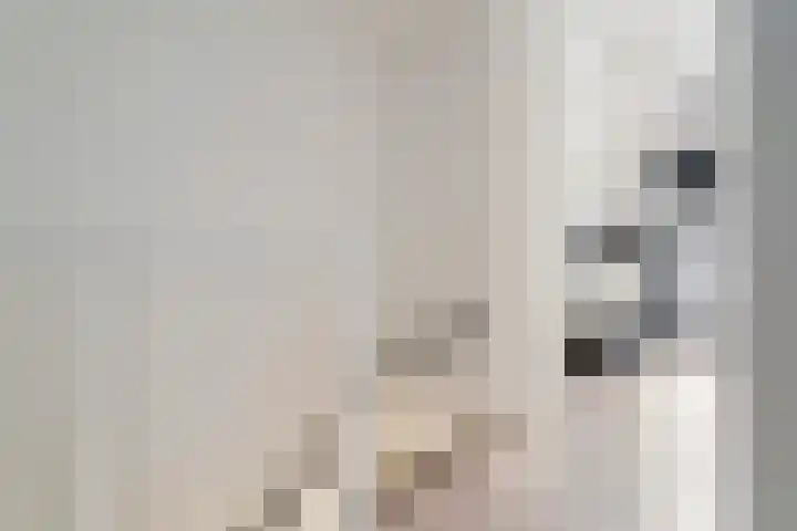 Mandenvlechter 19 Alphen aan den Rijn thumbnail 31