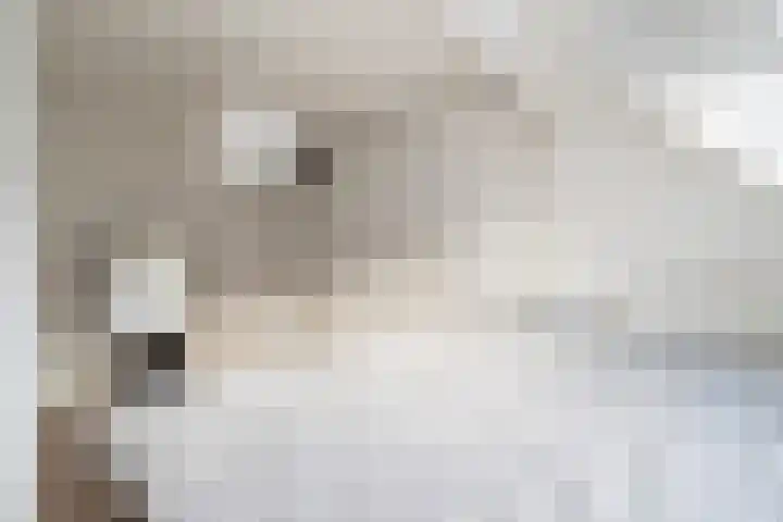 Mandenvlechter 19 Alphen aan den Rijn thumbnail 35