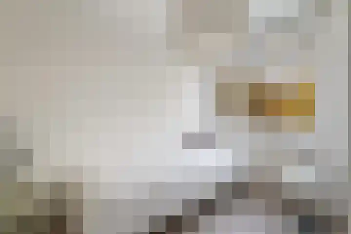 Mandenvlechter 19 Alphen aan den Rijn thumbnail 39