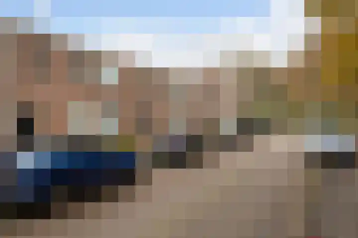 Mandenvlechter 19 Alphen aan den Rijn thumbnail 4