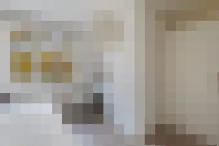 Mandenvlechter 19 Alphen aan den Rijn thumbnail 40