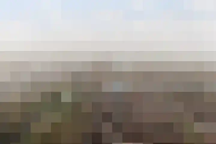 Mandenvlechter 19 Alphen aan den Rijn thumbnail 46