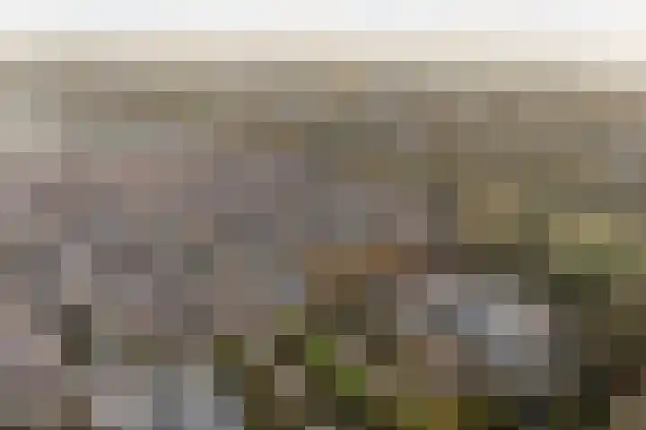 Mandenvlechter 19 Alphen aan den Rijn thumbnail 47