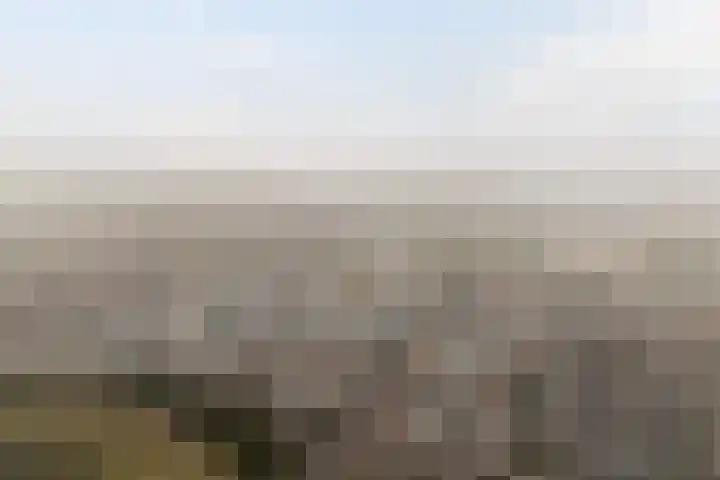 Mandenvlechter 19 Alphen aan den Rijn thumbnail 48