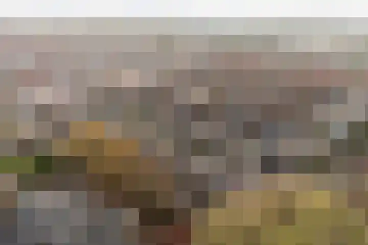 Mandenvlechter 19 Alphen aan den Rijn thumbnail 49